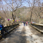 2013년-강릉초등학교 동문회