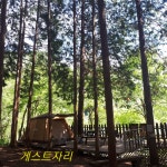 시설안내-편백힐 치유의숲 캠핑장