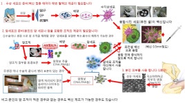 제조 공정-글로벌메디컬투어