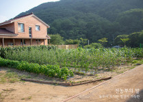 친환경 농법-팔공산맛집 전농부의 풀꽃밥상