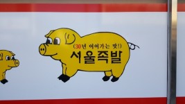 매장사진-서울족발보쌈영천점