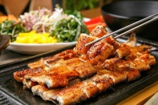 소개-풍천파장어&숯불철판닭갈비