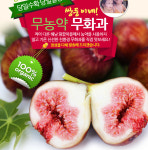 쌍둥이네농산물소개-쌍둥이네무화과농장