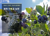 봉화신통골농장 소개-봉화 신통골농원