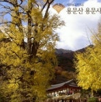 주변정보-힐링관광농원
