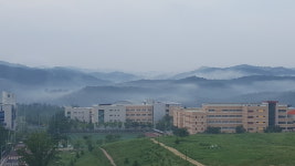 사무소 소개-다온누리 행정사사무소