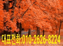 화도읍용달이사&묵현리용달이사-평내동리프트용달이사@포장이사