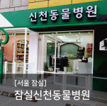 전국 조이풀 ZONE-강아지수중런닝머신 2023