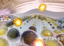 주요내용-나라바이오(주)