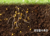 주요내용-나라바이오(주)