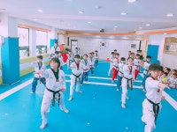 차오름 태권도장 소개-국가대표차오름태권도장