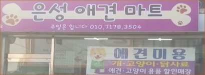 Home-은성애견미용마트 (철원애견)