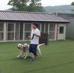 훈련안내-위드유애견훈련소