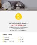 정형외과-24시쓰담쓰담 동물메디컬센터