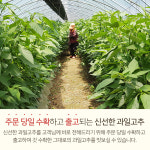 상품소개-은성농장