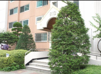 신정마을 현대성우아파트-현대신정공인중개사 사무소