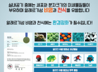 브로셔-반딧불이서초점