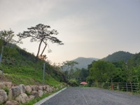 오토캠핑-도화지 펜션, 도화지캠핑