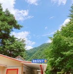 캠핑장소개-내린천솔밭힐링캠핑장