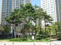 금암마을휴먼시아데시앙6단지-세교5단지행복한부동산