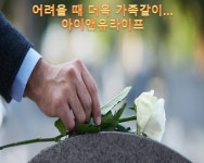 회사소개-아이앤유        라이프