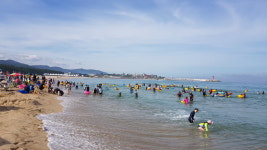 관광안내-고래불하얀돌펜션