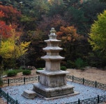 관광안내-고래불하얀돌펜션