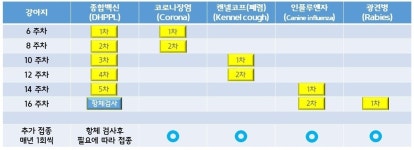 예방의학-365동판교동물병원