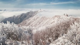 소백산  산 사과판매 코너 -영주펜션 선비촌호수펜션