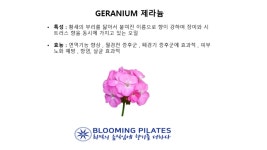 제라늄-블루밍 필라테스
