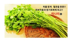 미ㄴa리곱창-미나리 곱창