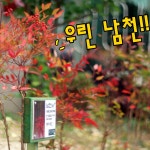 2019공동체활동-대원그린파크공동체