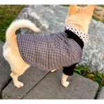 Pet fashion-바이코