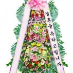 축하3단특대-아우라플라워