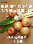 농산물-(주)가자유통
