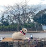 외부시설-동선제면가