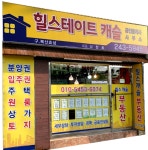 힐스테이트캐슬공인중개사사무소-울산 재개발 힐스캐슬 부동산