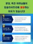 잉글리쉬트리 자랑-잉글리쉬트리