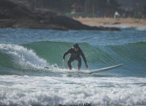 강습정보-Mark Surfschool