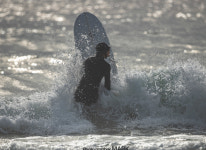 강습정보-Mark Surfschool
