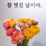 잎새달닷새-대구감성카페 잎새달닷새