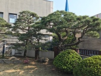 조경관리1-가나안조경