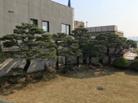 조경관리1-가나안조경