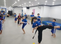 교육 안내서 -호림합기도