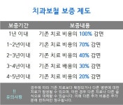 진료보증제-개포동치과 / 연세예은치과