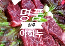 프로필-(주)재명목장_명품한우야하누