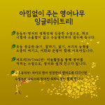 잉글리쉬트리 약속-잉글리쉬트리