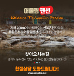 어울림펜션-어울림펜션