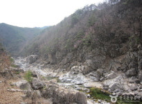주변정보-왕피천 하늘담 펜션 & 캠핑
