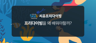씨유프리다이빙-씨유프리다이빙